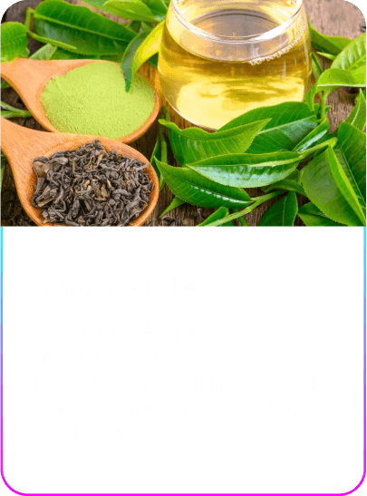 Chá Verde (3) (1)