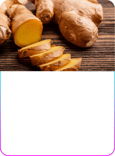 Gengibre (3) (1)